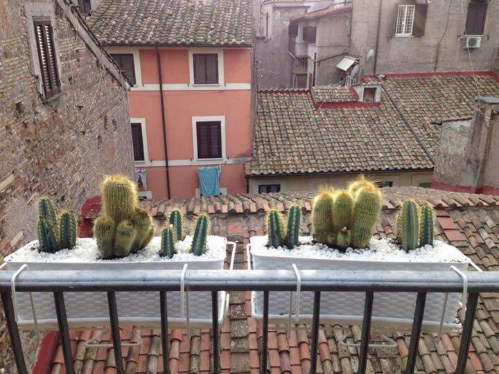 Апартаменти Campo Dei Fiori Funny Flat Рим Екстер'єр фото